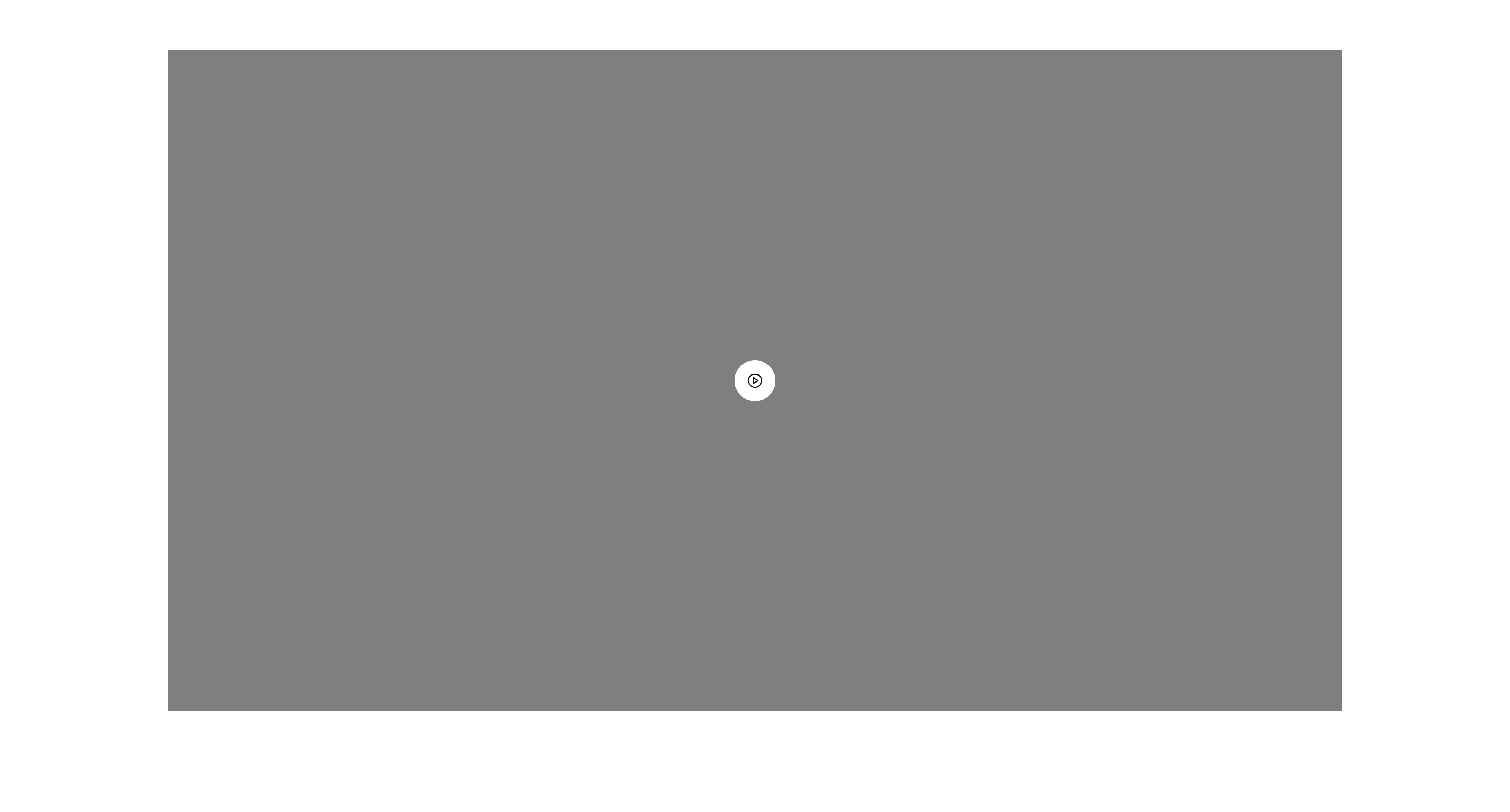 Mes adorables amis les chiens : les peluches à collectionner