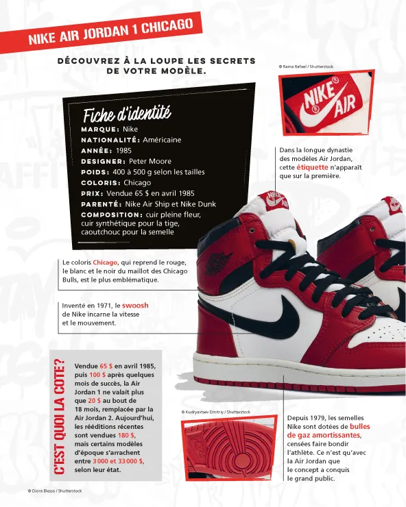 Fiches encyclopédiques sneakers Air Jordan 1